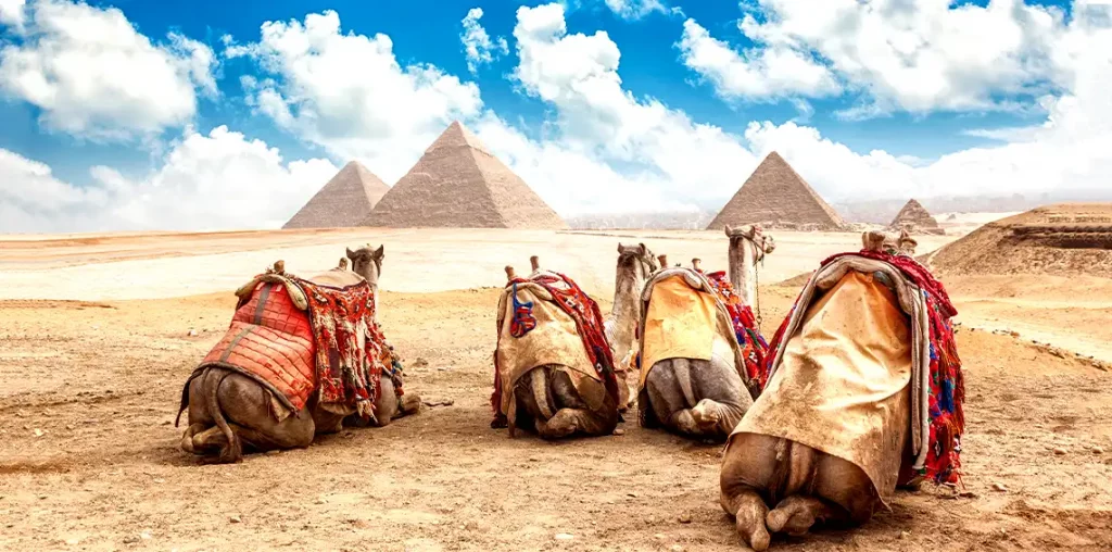 5 Days 4 Nights Private Tour In Cairo And Alexandria