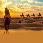 Abu Dhabi Morning Desert Safari With Camel Ride