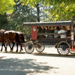 Philadelphia And Amish Village Tour From Nyc