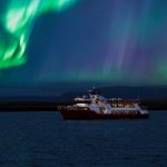 Whale Watching & Northern Lights Combo Cruise From Reykjavik