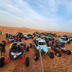 Dune Buggy Ride In Red Dunes + Desert Safari Private Experience