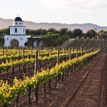 Grand Mexico Wine Country Tour From San Diego