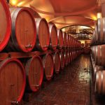 Private Tour To Tikvesh Wine Region And Stobi