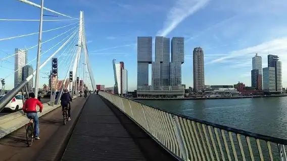 Rotterdam Travel To The Future Walking Tour