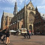 Your Own Holland. Haarlem, The Coastal Dunes And The North Sea