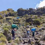 Track On Kilimanjaro On The Machame Route Whiskey