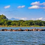 4 Day Masai Mara, L Naivasha And L Nakuru Safari