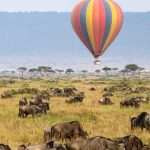 4 Day Masai Mara Luxury Private Safari