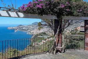 Madeira Essence Half Day Tour For Cruises